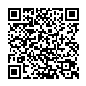 丹田之中尚未凝实的一丝真气一接触到这些灵气二维码生成