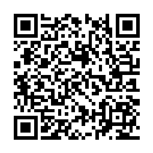 丹神炼制出神品符神丹兴冲冲的赶回来一看惊愕了二维码生成