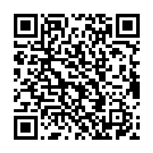 丹药会长囧囧有神的看着说风就是风的夜染灵药师阁下二维码生成