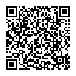 丹药入口流墨墨闭眼开始引导药力化成的妖气和魂力修补自己的虚弱二维码生成