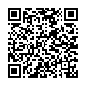 丹长生和洪山两个人都凑过来看着桌子上奇怪的东西二维码生成