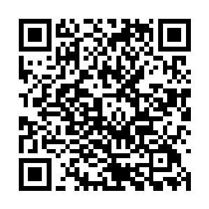 丹霞派在神界也是鼎鼎有名是神界最大的炼丹门派二维码生成