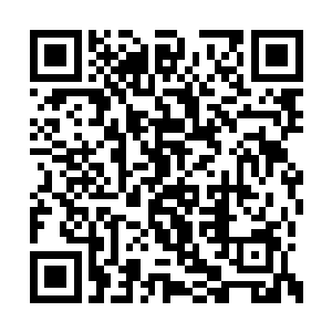 丹青脸上顿时也是露出了一抹自得的神情开口道二维码生成