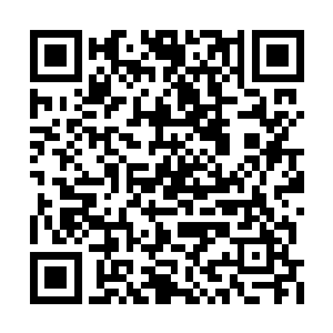 为东吁王朝的扩张提供了源源不断的兵员和粮食二维码生成