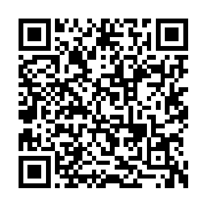 为了一个月之后能够尽可能多地陪伴海丝过暑假二维码生成