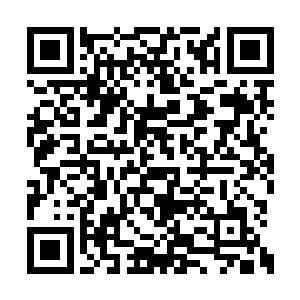 为了一名优秀医生的荣誉和一个友好国家的形象二维码生成