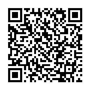 为了一颗五阶魔核而去得罪一个实力这么强劲的天才二维码生成