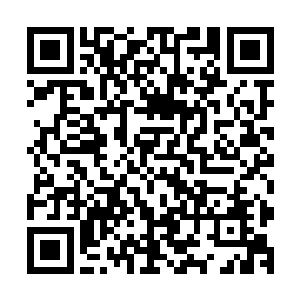 为了以防万一她可不想芮阁抓住她的把柄把阮子玥也一并扔了二维码生成