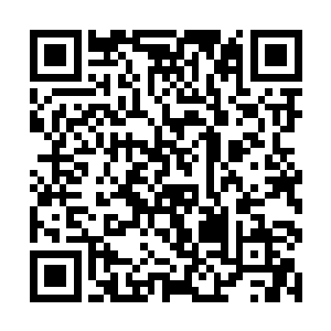 为了你我背叛了我的父母亲人族人…你不能这样……二维码生成