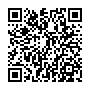 为了保护再次出现在刘玉芝和董菲视线中的婉婉二维码生成