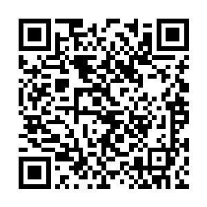 为了布置这个传送阵龙傲天可是花费了巨大的心思二维码生成