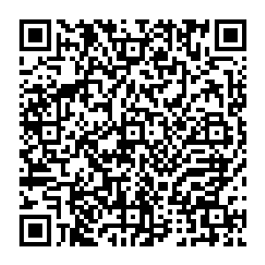 为了我们七十五楼的荣誉   我们不能就这样轻松的让他过去 成为他传奇的一块垫脚石  二维码生成