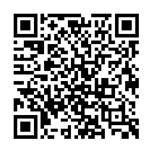 为了我的不理智而让你们为自己无关的事情掏钱二维码生成