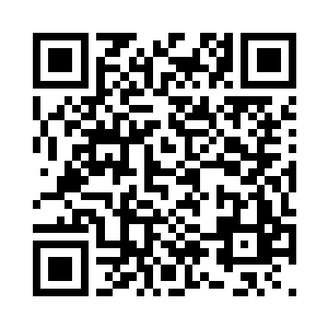 为了接下来生命树计划的开展而铺路二维码生成