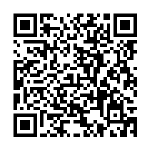 为了掩饰羞意以及被寒风都无法冷却的脸颊的热度二维码生成