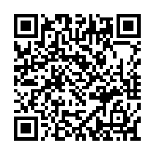 为了整个苍茫大陆上的修士才放下和你的约否则二维码生成