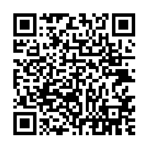 为了明年的奥斯卡营销努力――除非你想要给韦恩斯坦分蛋糕二维码生成
