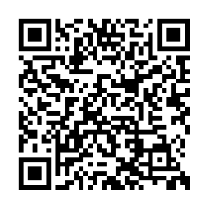 为了杀陈凌一个人已经卷进去多少人你看到没有二维码生成