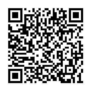 为了确保把自己的产业和整个犯罪王国留给儿子二维码生成