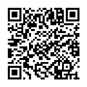 为了能让我媳妇重新回到我身边我什么都不顾了二维码生成