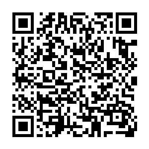 为了自保性命的皮君子和陶如春也顾不得白子良是不是万妖天的人了二维码生成