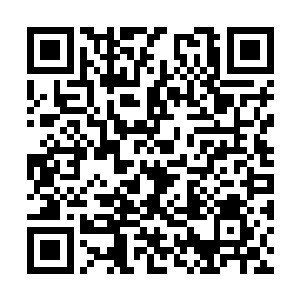 为了自身根本支撑不了的野心而稀里糊涂丢失一切二维码生成