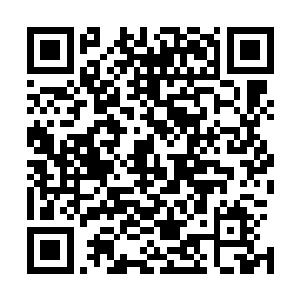 为了让本族人有足够的食物也为了减少部落之间的食物竞争二维码生成
