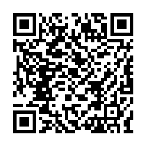 为了让自己在半年后通过九莲宗甄选多一些筹码二维码生成