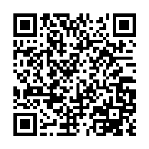 为了那笔无比丰厚的奖金……就暂时忍一忍吧……二维码生成