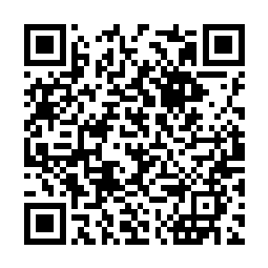 为了防止星光冒险团和斧头佣兵团发现主人的身份二维码生成