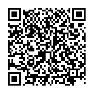 为了验证他的想法把刚切好的肉片跟旁边的族长大人切的放在一起比一下二维码生成