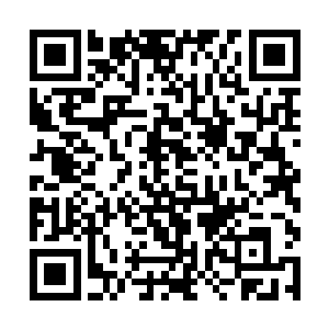 为什么一感知到老疯子的气息就会变得如此暴戾起来二维码生成