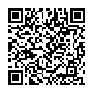 为什么不想想会不会有其他的八腿虎牛也在路上二维码生成