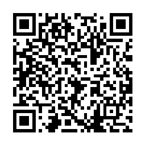 为什么不把有角族打到疼打到怕打到他们不敢反抗二维码生成