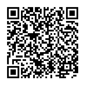 为什么不把轮回狱的时间点安排在第一次世界大战或者第二次世界大战期间二维码生成