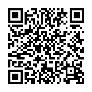 为什么仓戈尔和你都觉得需要我来做勘路的事情二维码生成