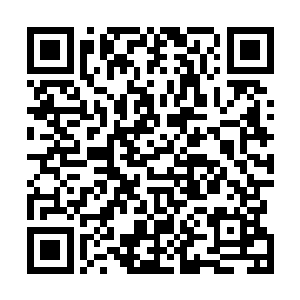 为什么他在这部自己创造的电影里并没有沿用之前的做法二维码生成