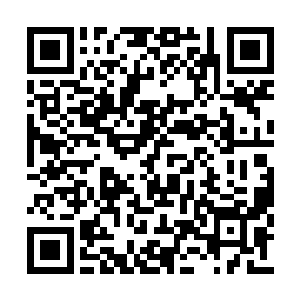为什么做的每一件事情都能让他感到温馨和感动二维码生成