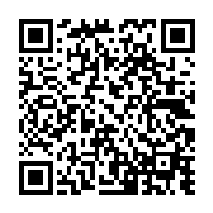 为什么公司就不给她们多一点的时间来证明她们的实力呢二维码生成