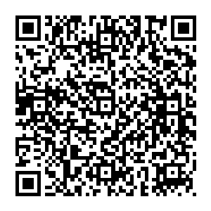 为什么切萨雷在他们第一次见面的时候用语会如此简洁了――现在茱蒂的语气也丝毫不比当时的切萨雷要好多少二维码生成