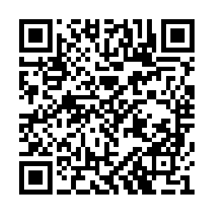 为什么刚才一路凯歌的夏天现在被会打的这么惨二维码生成