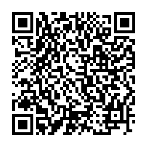 为什么即便是在虫魔入侵这样的毁灭性灾难中楚雄都不愿打开库藏二维码生成