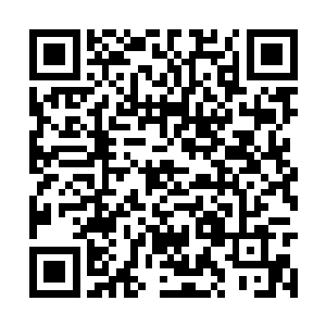 为什么另外一个大陆的至尊都可以将势力延伸过来二维码生成