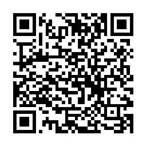 为什么只留下了这些鳏寡孤独来守护这片海域的安宁二维码生成