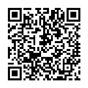 为什么可以什么都不计较反而要为她着想……哪怕只是同情二维码生成