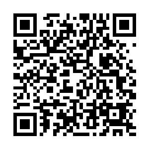 为什么在圈子里呼风唤雨的龙公子会这么害怕一个医生二维码生成