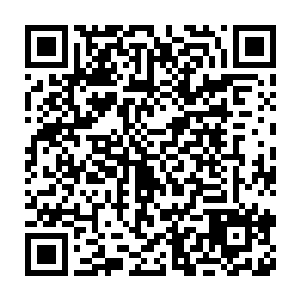 为什么在自己的元力之海中会出现一本看起来更加神奇的万灵玄元功呢二维码生成