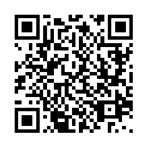 为什么在被人攻击的时候不出手反击二维码生成