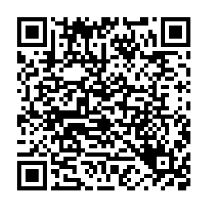 为什么堂堂一国公主能放下高贵的地位以一个婢女的身份去伺候他人二维码生成