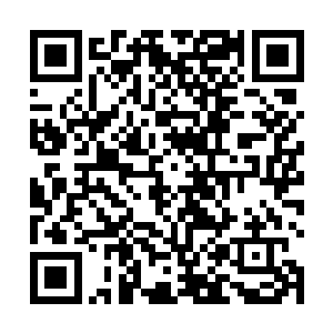 为什么太虚宗的修士却能够和遗失大陆的修士一争雌雄二维码生成